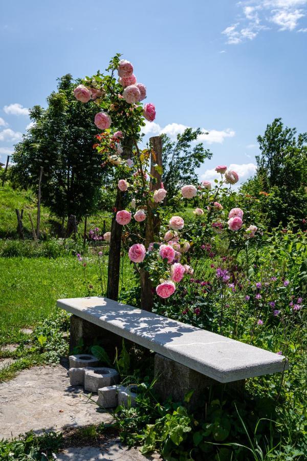 Dobravlje Rooms&Vinery Bregovi - Sobe In Vinska Klet Bregovi المظهر الخارجي الصورة