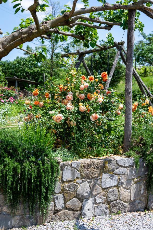 Dobravlje Rooms&Vinery Bregovi - Sobe In Vinska Klet Bregovi المظهر الخارجي الصورة