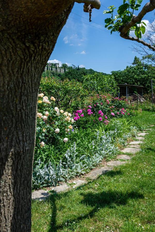 Dobravlje Rooms&Vinery Bregovi - Sobe In Vinska Klet Bregovi المظهر الخارجي الصورة