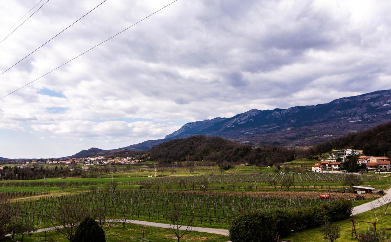 Dobravlje Rooms&Vinery Bregovi - Sobe In Vinska Klet Bregovi المظهر الخارجي الصورة